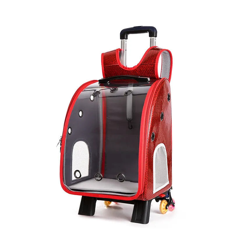 Folding pet carrier bag with transparent acrylic cover and Oxford cloth backpack in blue colour