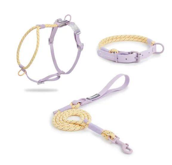 Solid colour PVC dog leash hand holding rope in dark red purple yellow or taoyao green