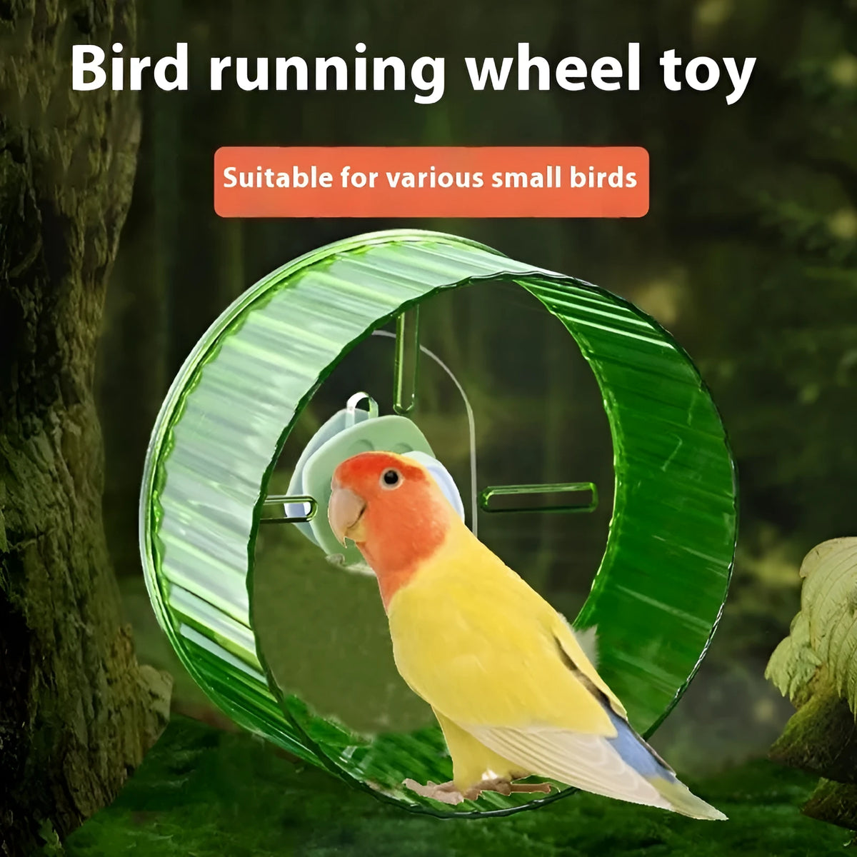Plastic parrot running wheel toy in green colour showing 21cm diameter size