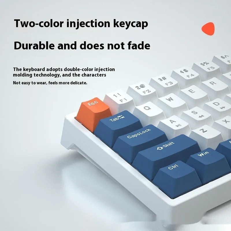61 key compact mechanical keyboard with multiple colour options including blue-white and dark blue-white orange variants