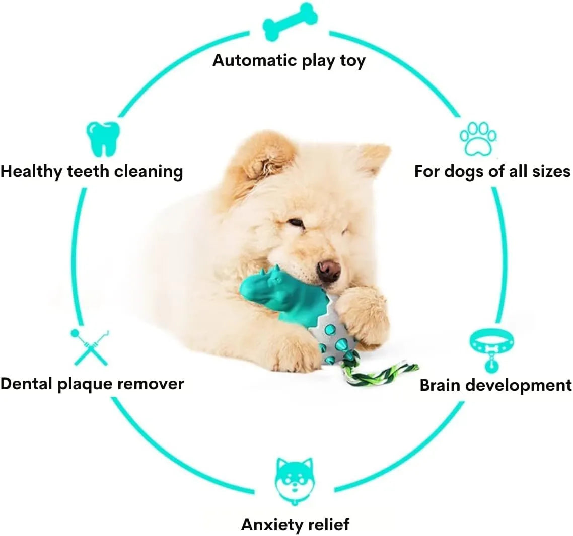 Blue dinosaur-shaped dog chew toy with integrated nylon rope on a wooden floor.