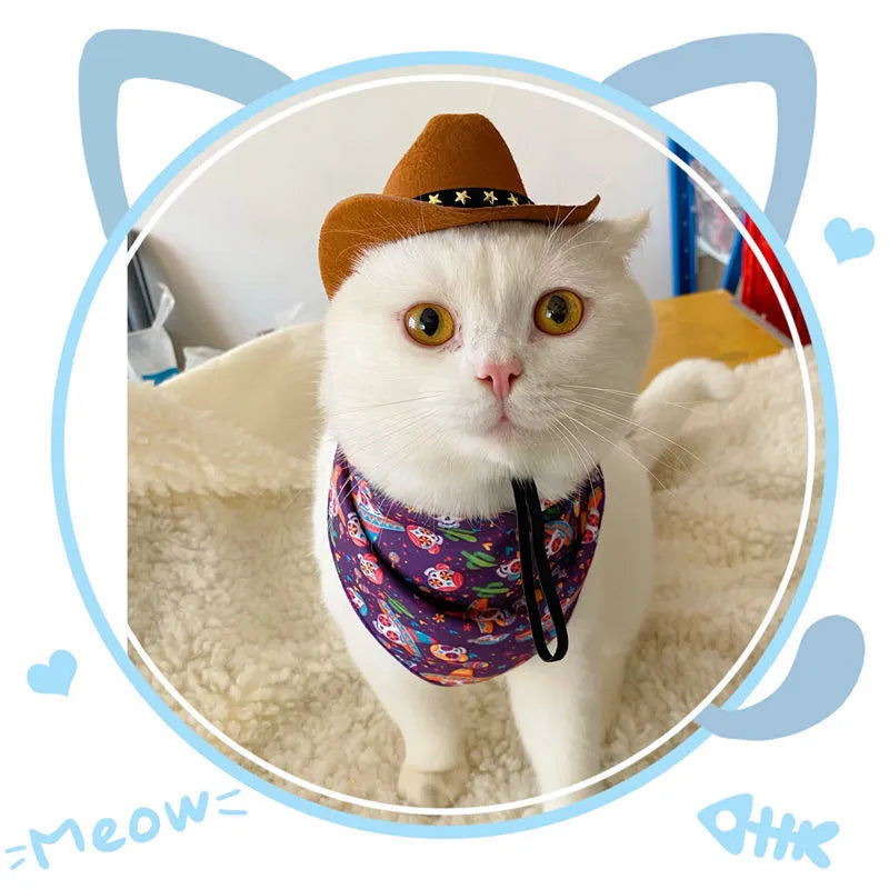 British cowboy hat for cats made from non woven fabric in brown with star velvet belt trim