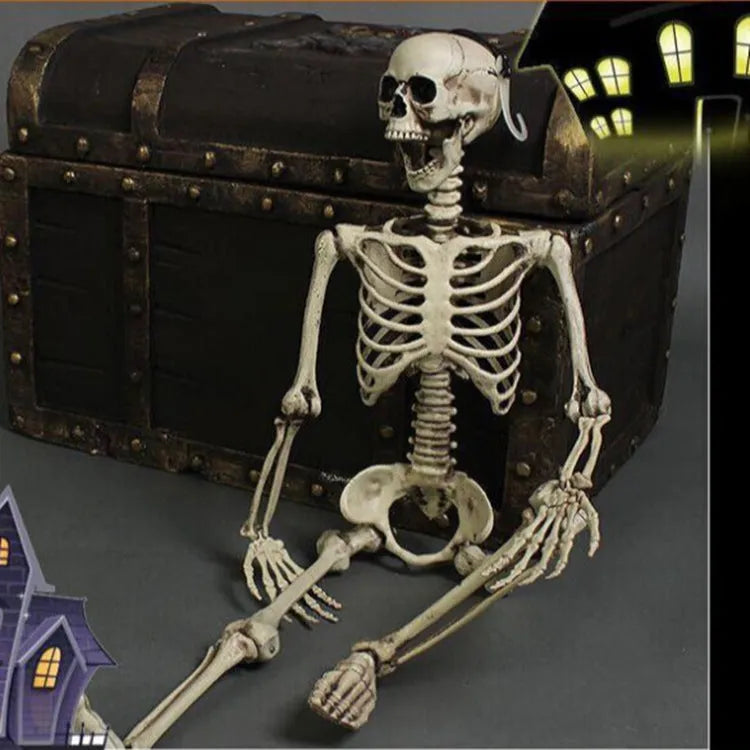 170cm tall plastic skeleton prop with detailed skull on white background