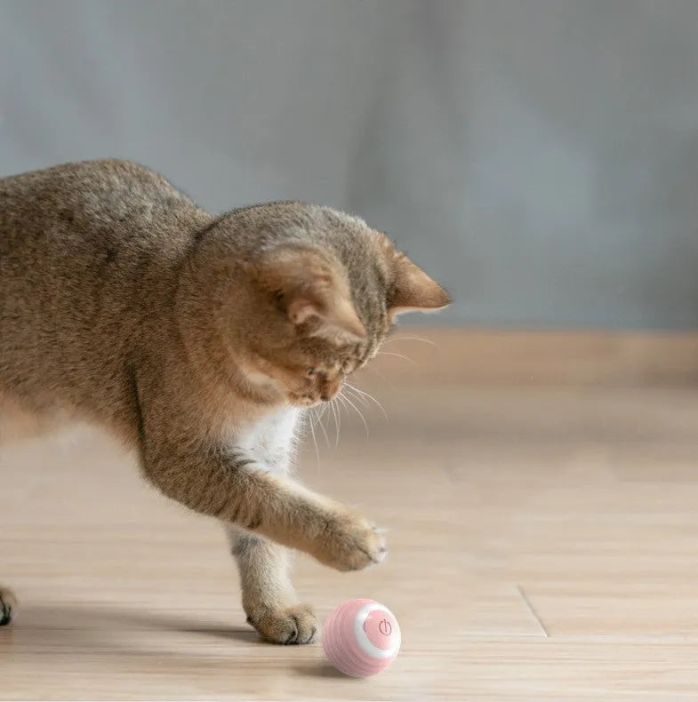 Rechargeable automatic moving bouncing ball smart cat toy in blue and pink colours
