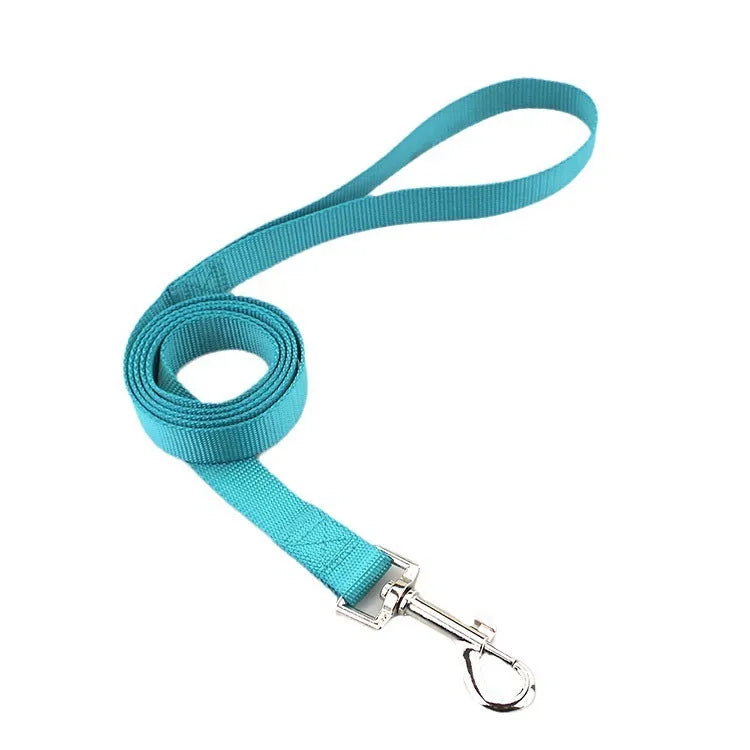 Blue polyester dog lead rope with a hand-holding loop, shown alongside other colour options including black, red, and grey.