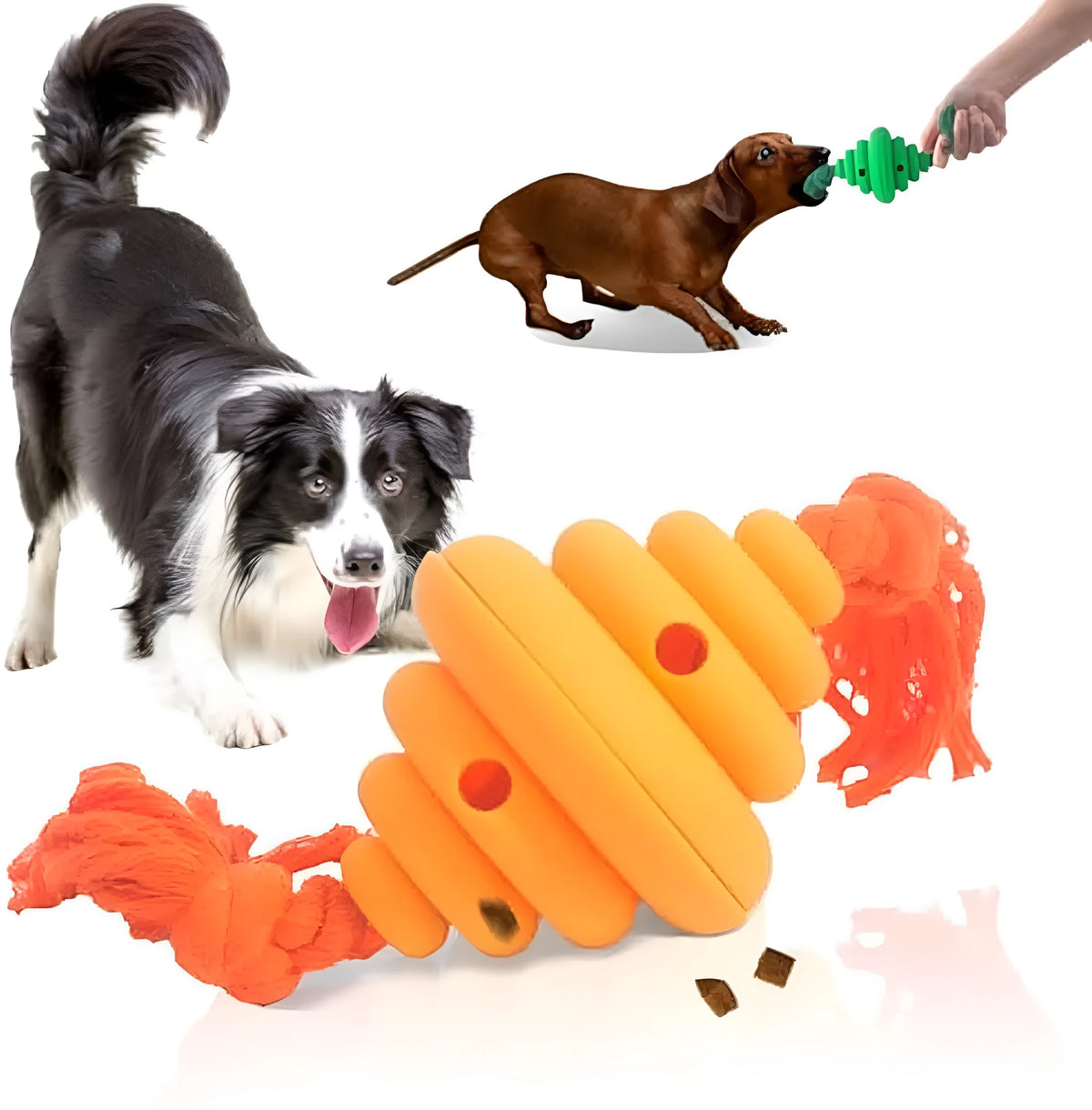 Green and yellow split spiral dog ball with rope attachment for interactive play and treat dispensing