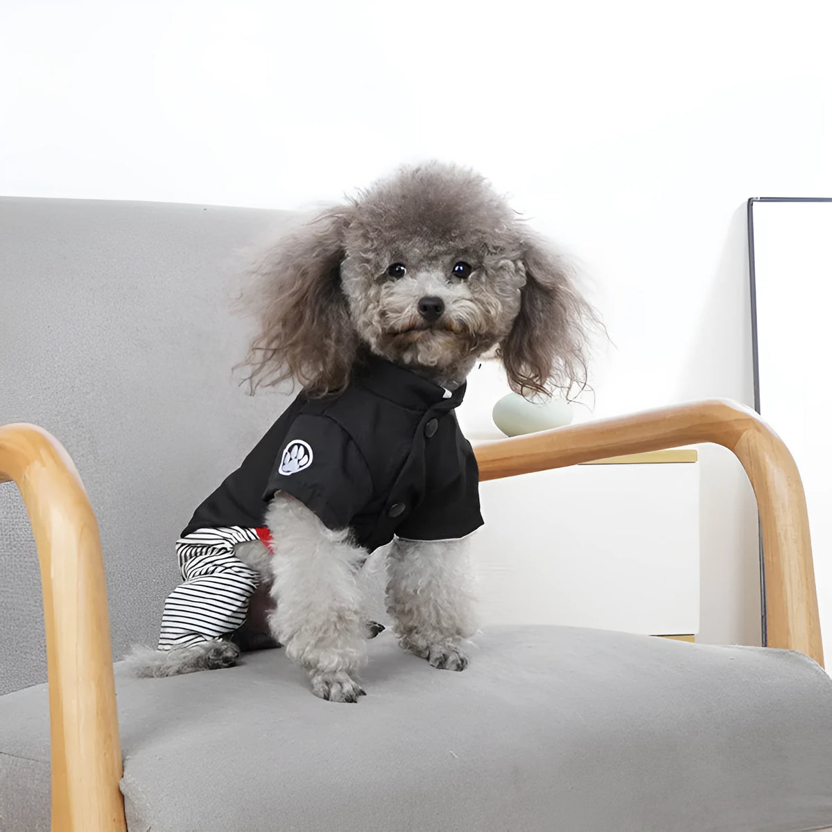 Cotton poodle dog clothes in four-legged pants and skirt styles for spring and autumn wear