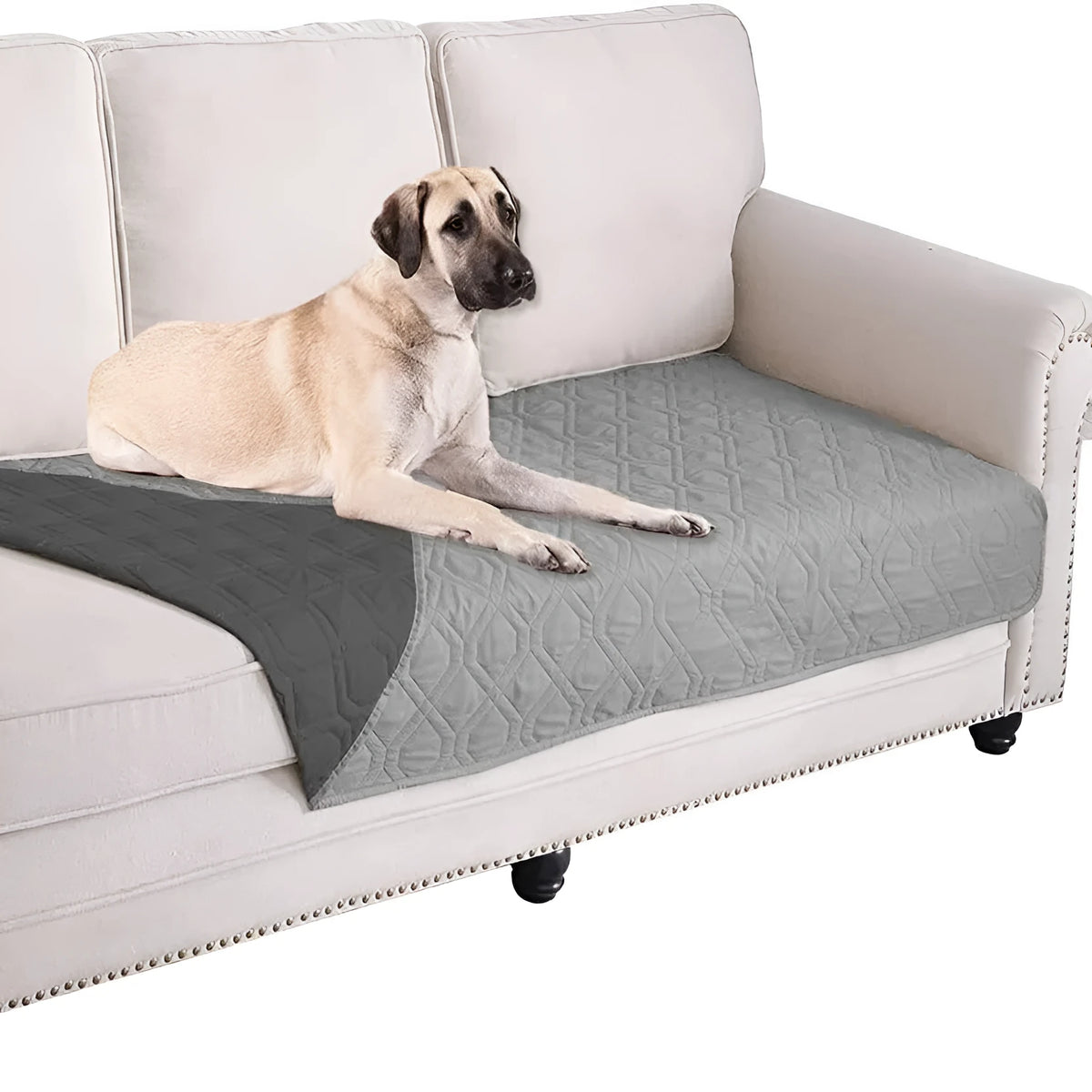 Reversible waterproof dog blanket couch cover shown in burgundy and grey colours on a sofa