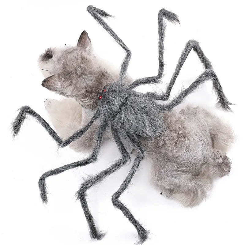 Halloween spider costume for pets in four colour options with size choices