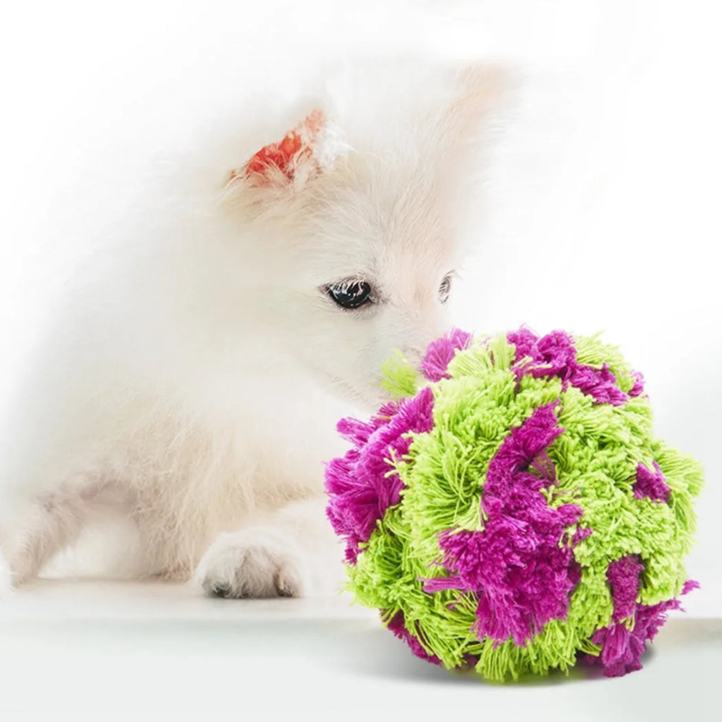 Purple plush dog ball with knotted seaweed texture measuring approximately 15cm diameter