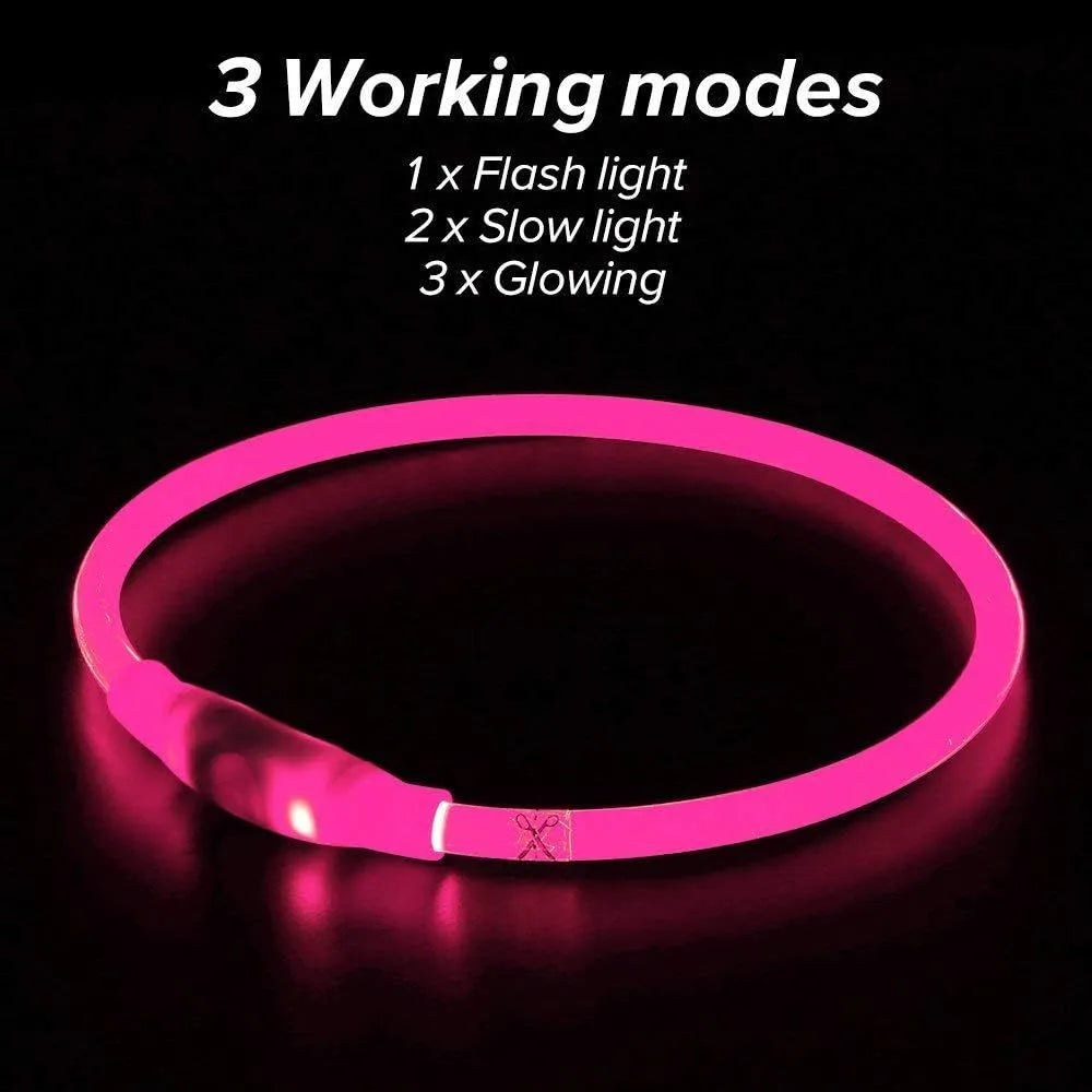 USB rechargeable LED dog collar showing blue illuminated band with adjustable 70cm length for night walking safety