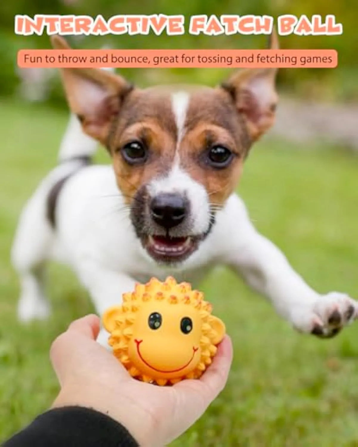 Orange and yellow squeaky latex dog toys with spiky texture for dental cleaning, 3-inch diameter