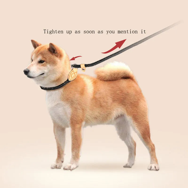 A rope dog training leash with an automatic tightening collar, shown in multiple colour options for blast race use.
