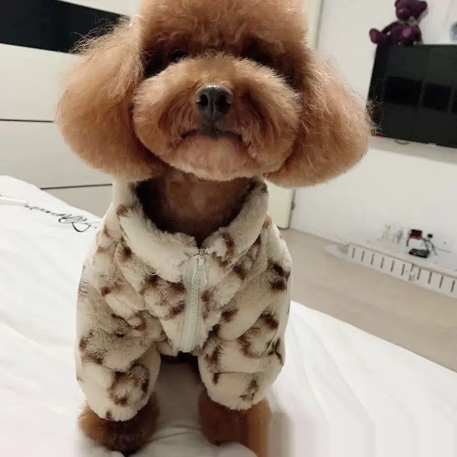 Dog clothes autumn winter smoked fur coat in British style, polyester, sizes XS to XL for 1kg to 8.5kg dogs