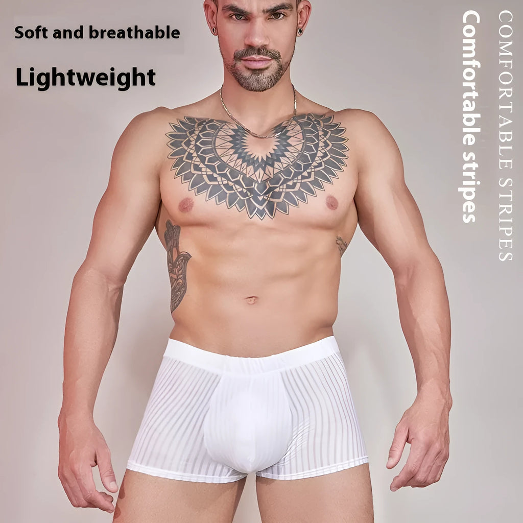 Men's striped underwear in thin transparent nylon fabric, shown in black, white and dark grey colours.