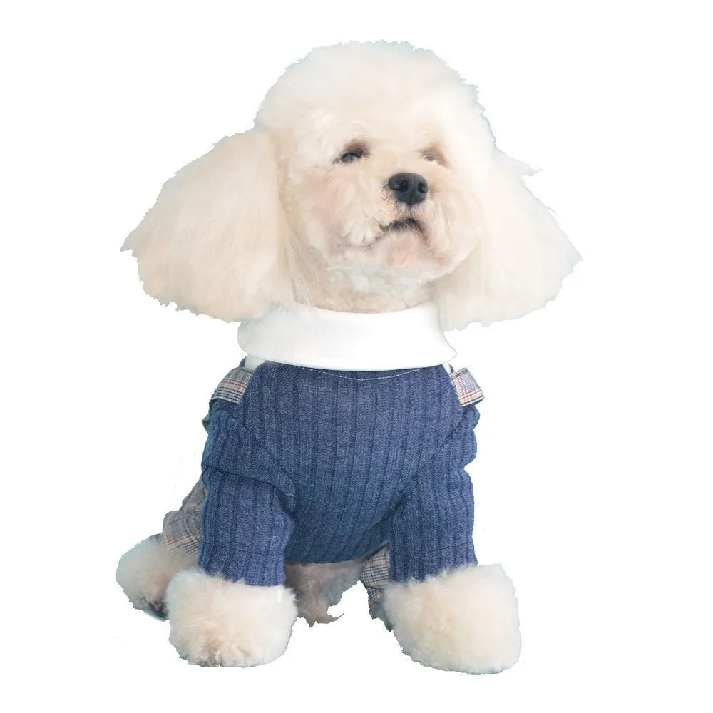 Small dog wearing dark blue cotton shirt with button front and collar