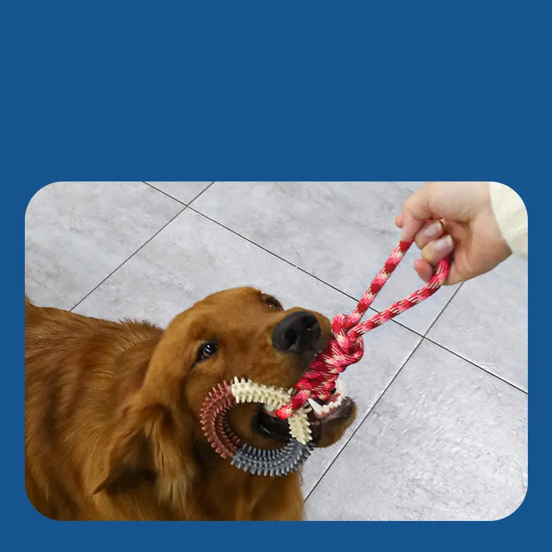Blue braided rope dog toy with knotted design measuring 43cm long