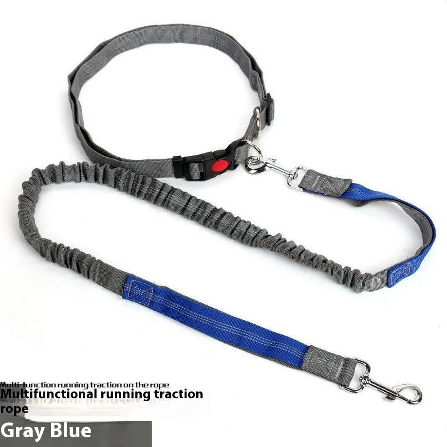 2.5cm wide nylon dog leash with reflective filament in multiple colour options