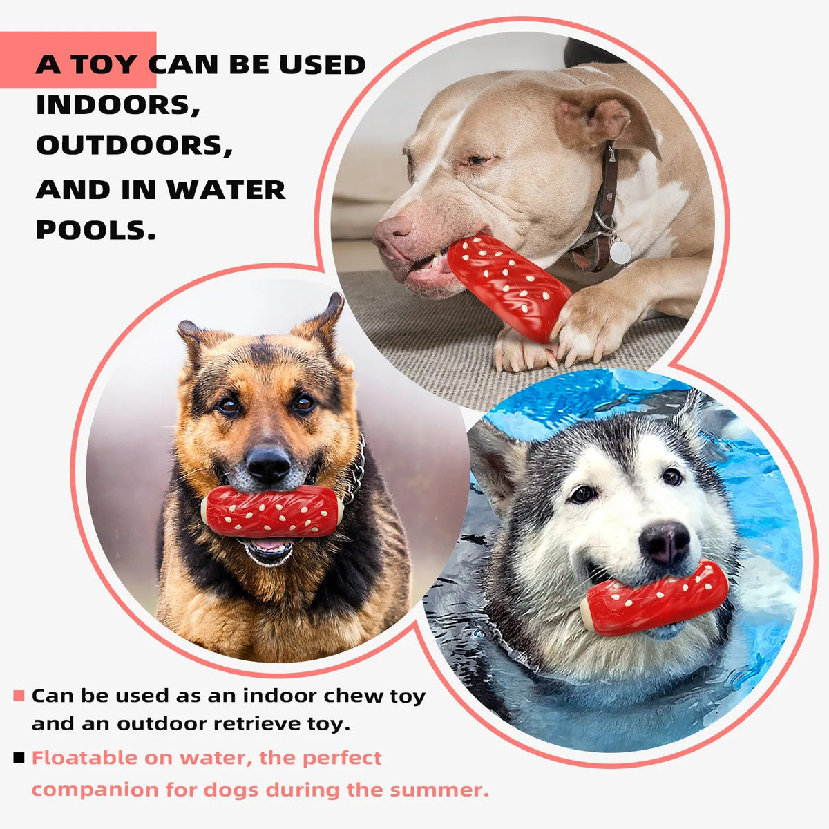 Glue Toothbrush Snack Molar Rod plastic dog chew and treat dispenser toy in primary colour.