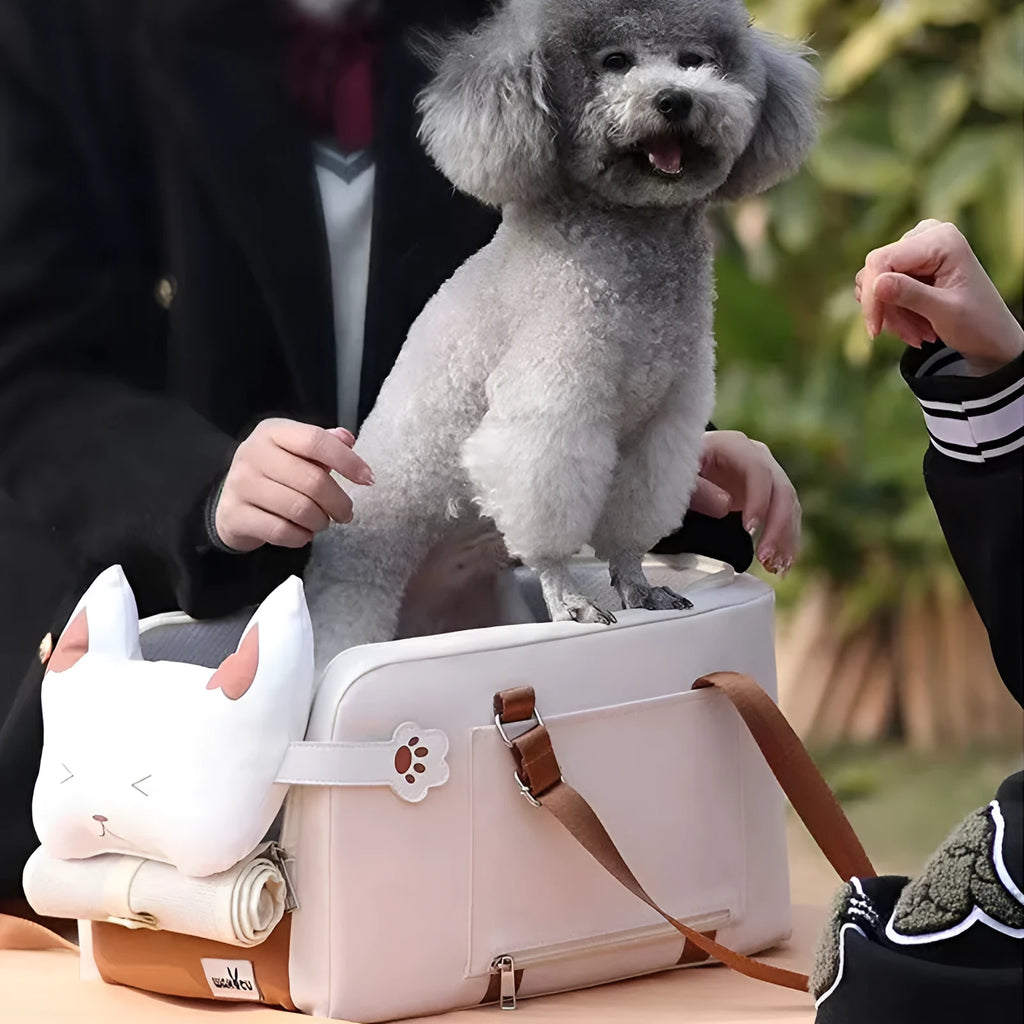 Hard-sided beige pet carrier with EPE padding measuring 43x25x22.5cm for pets under 15kg