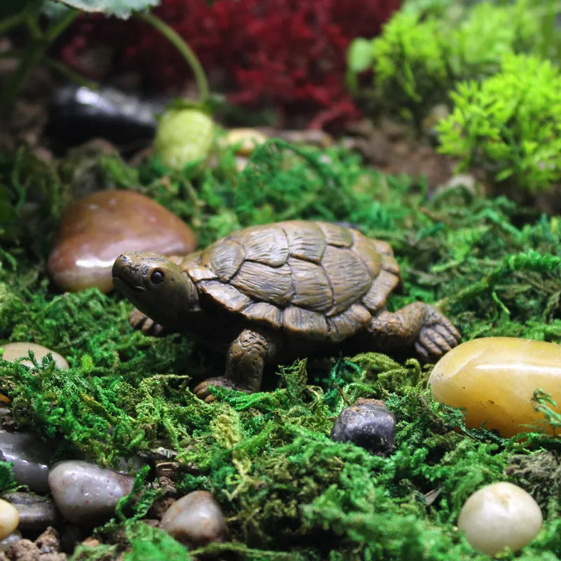 Resin simulated turtle ornament for micro landscape and gardening decoration