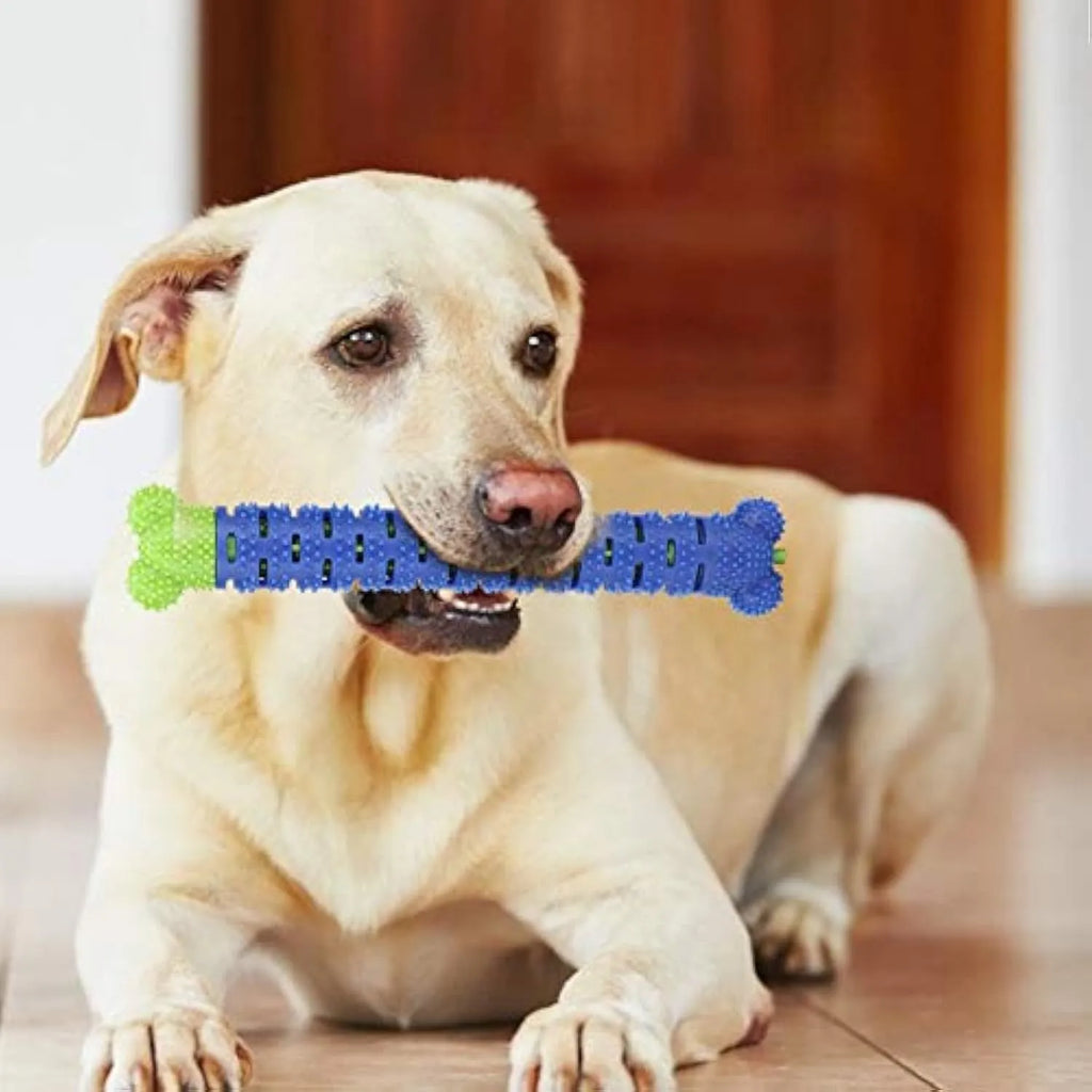 Blue green dog dental cleaning toy with brush head and massage nodules, 25cm long
