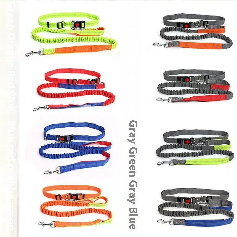 2.5cm wide nylon dog leash with reflective filament in multiple colour options