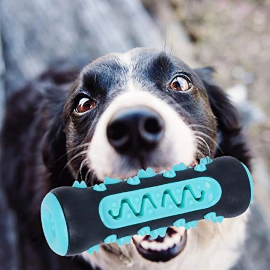 Natural rubber dog toothbrush chew toy in blue colour for dental cleaning, measuring 15cm long.