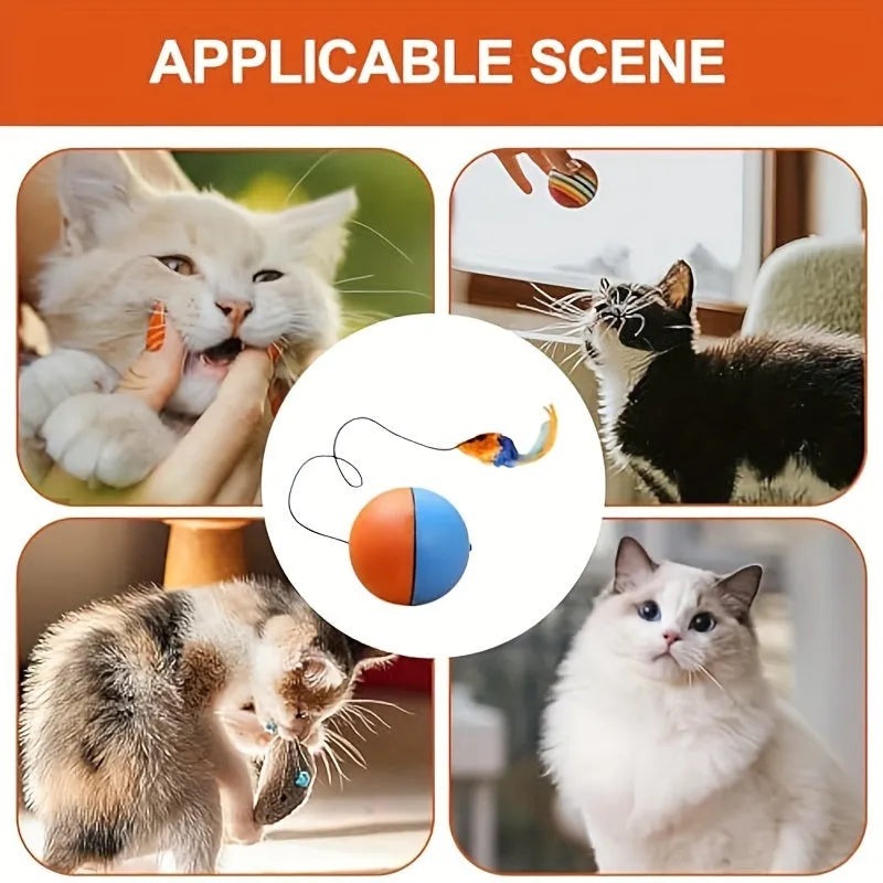 Interactive cat toy with plush mouse and exercise ball in blue and orange colours