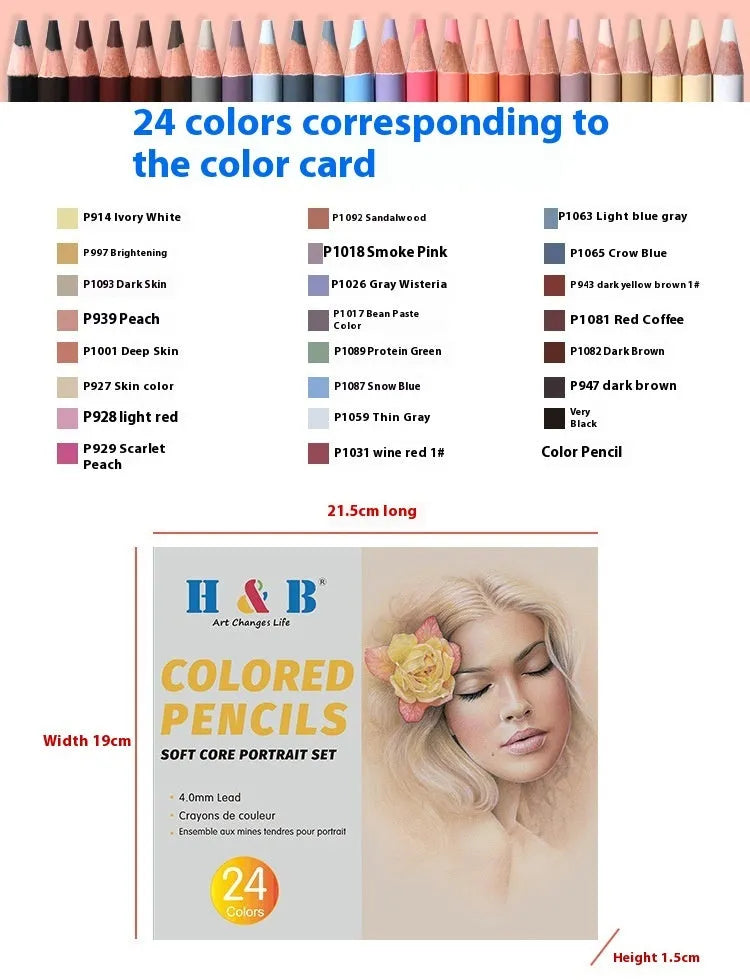 24 skin colour pencils in round iron box for portrait art with oil-based leads and HB hardness