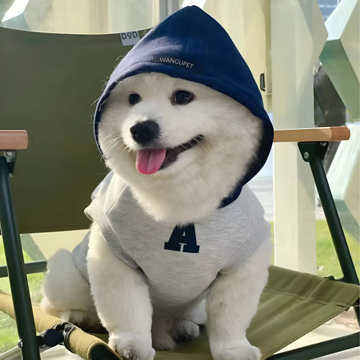 Blue and grey white pet hoodie with reflective lettering, slim-fitting design for cats and dogs