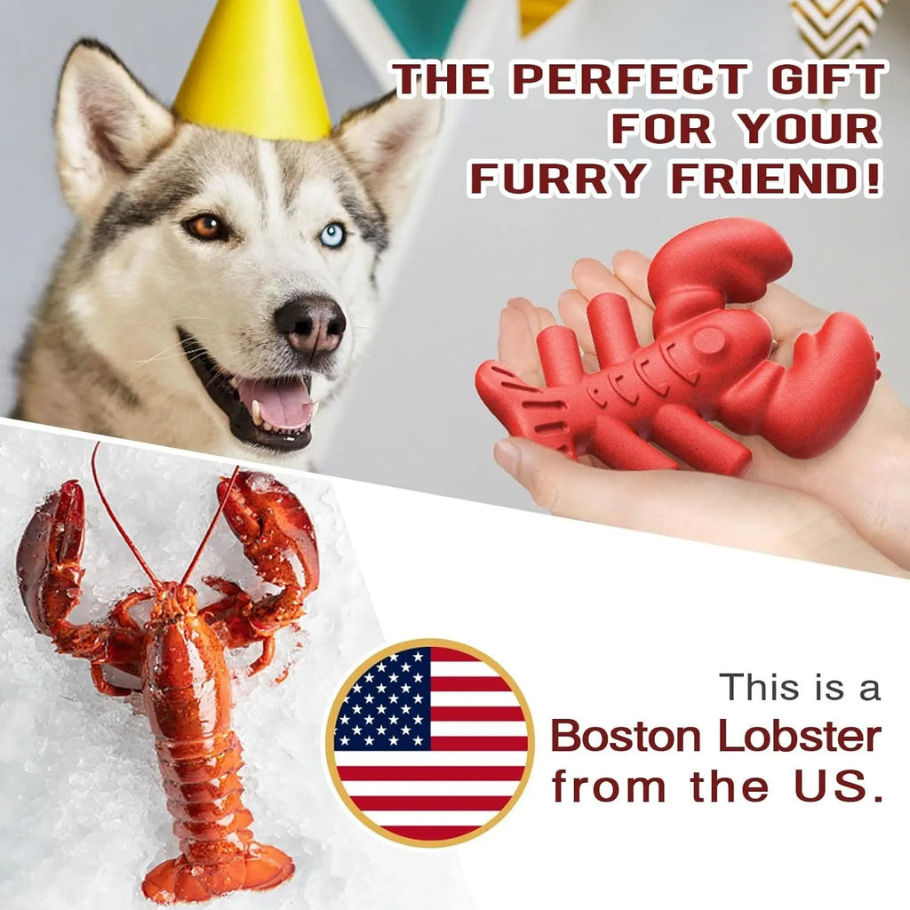 Red hard dog chew toy for large aggressive chewers on a plain background