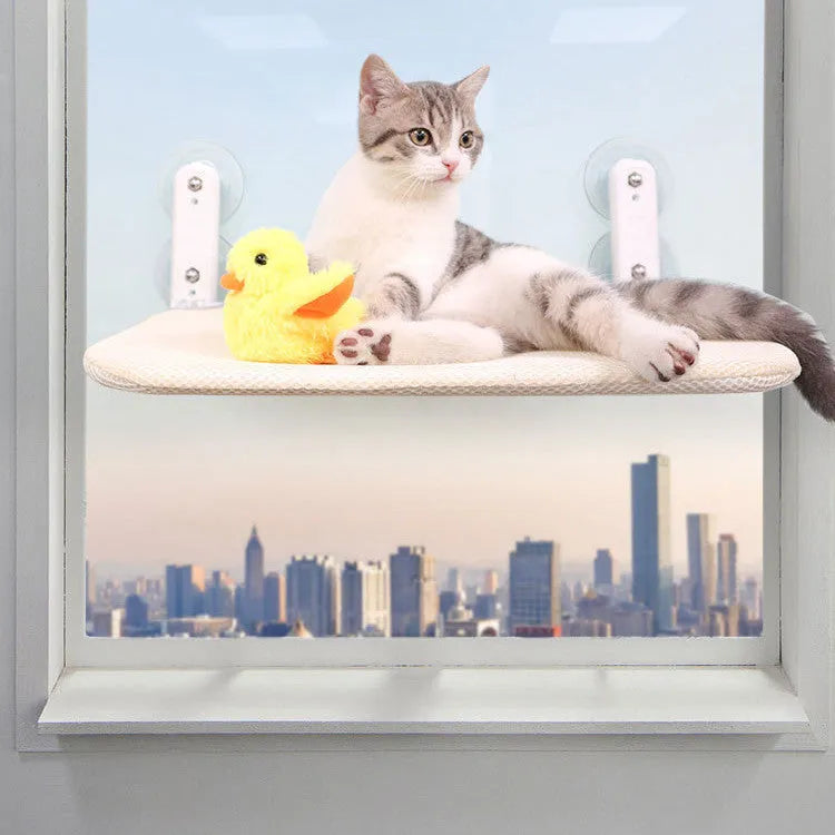 Foldable stainless steel cat window hammock seat cushion attached with suction cups.