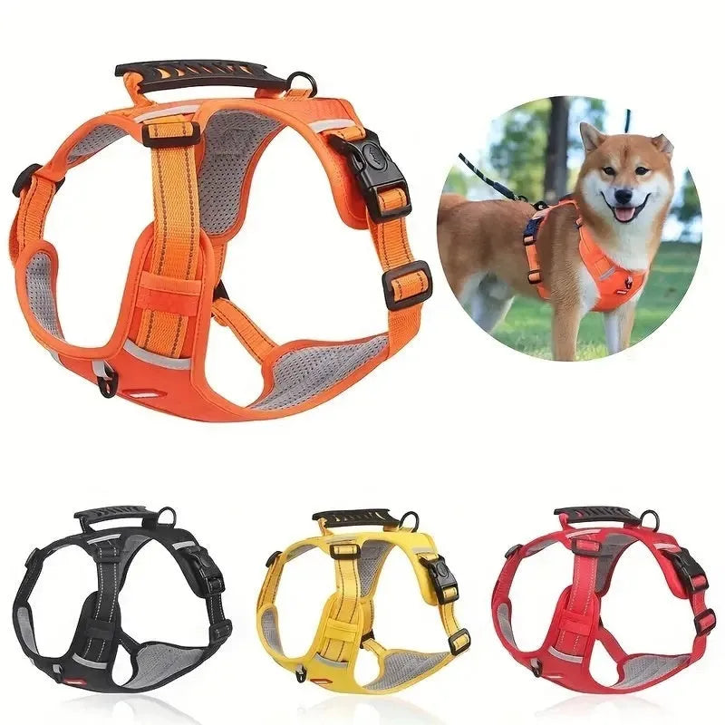 Polyester dog harness and lead set in multiple colours with chest strap design for walking control