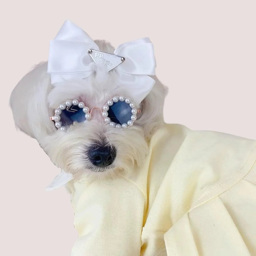 Pearl-rimmed round sunglasses for cats and dogs on a coloured background.