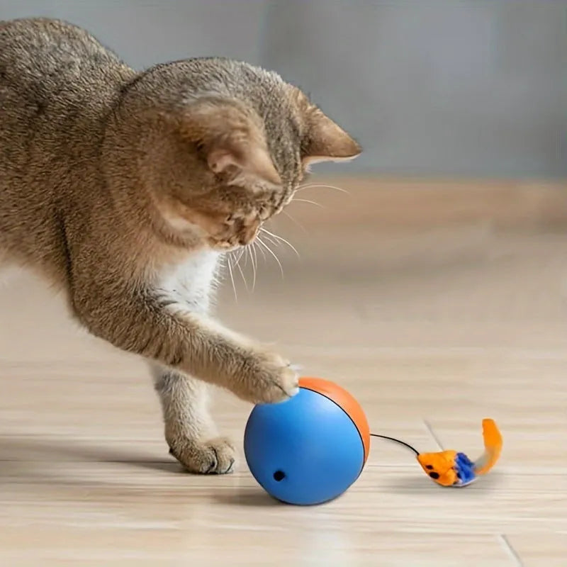 Interactive cat toy with plush mouse and exercise ball in blue and orange colours