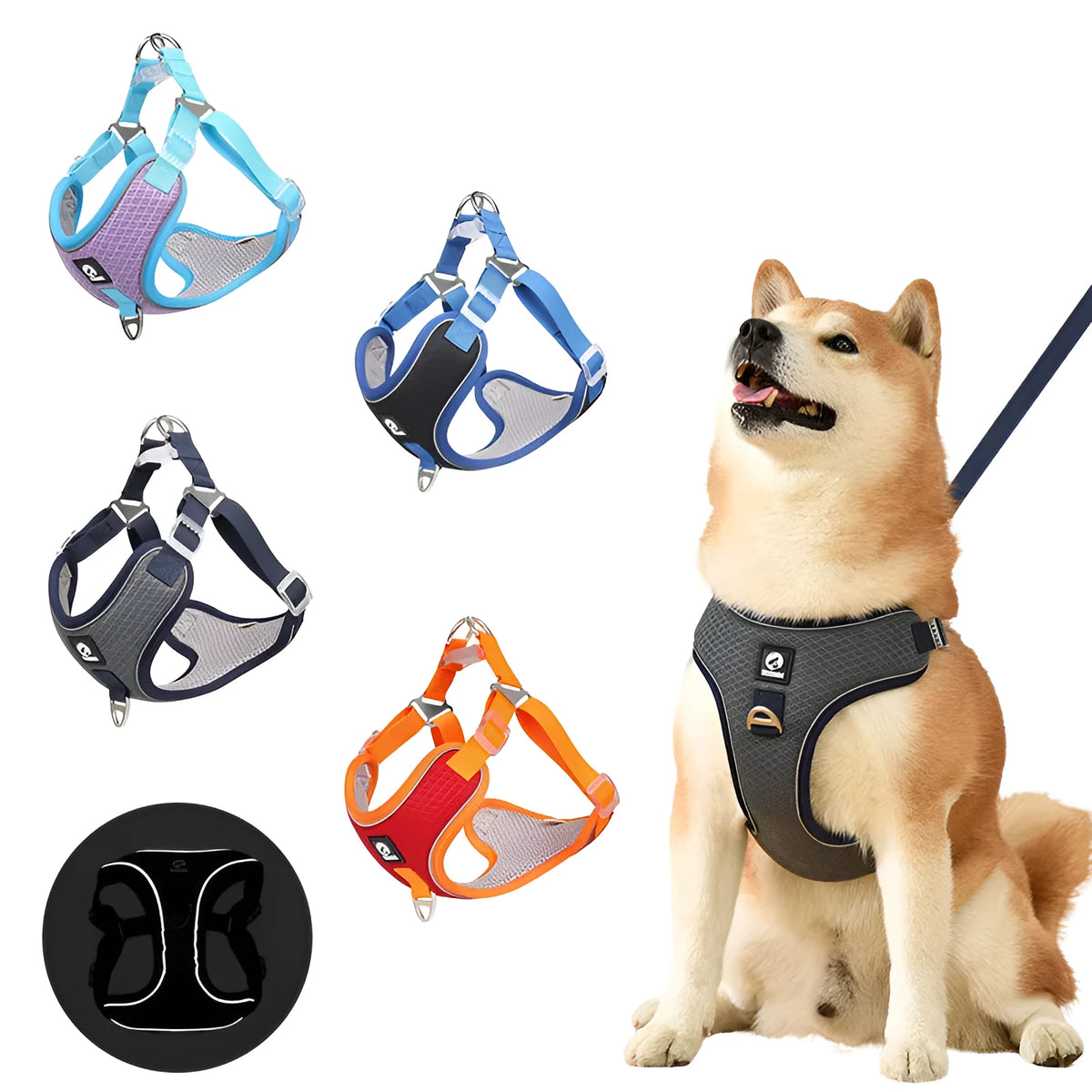 Adjustable dog harness with reflective piping and breathable mesh panels in multiple colour options