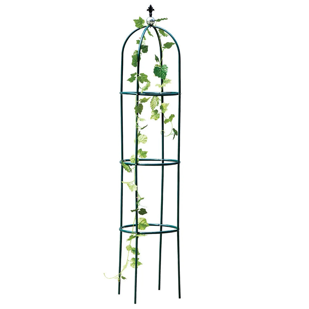 Dark green wrought iron plant climbing frame with lattice design for Liana vines