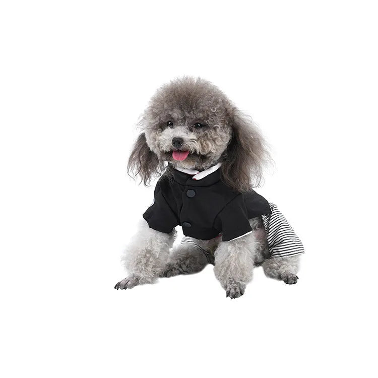 Cotton poodle dog clothes in four-legged pants and skirt styles for spring and autumn wear
