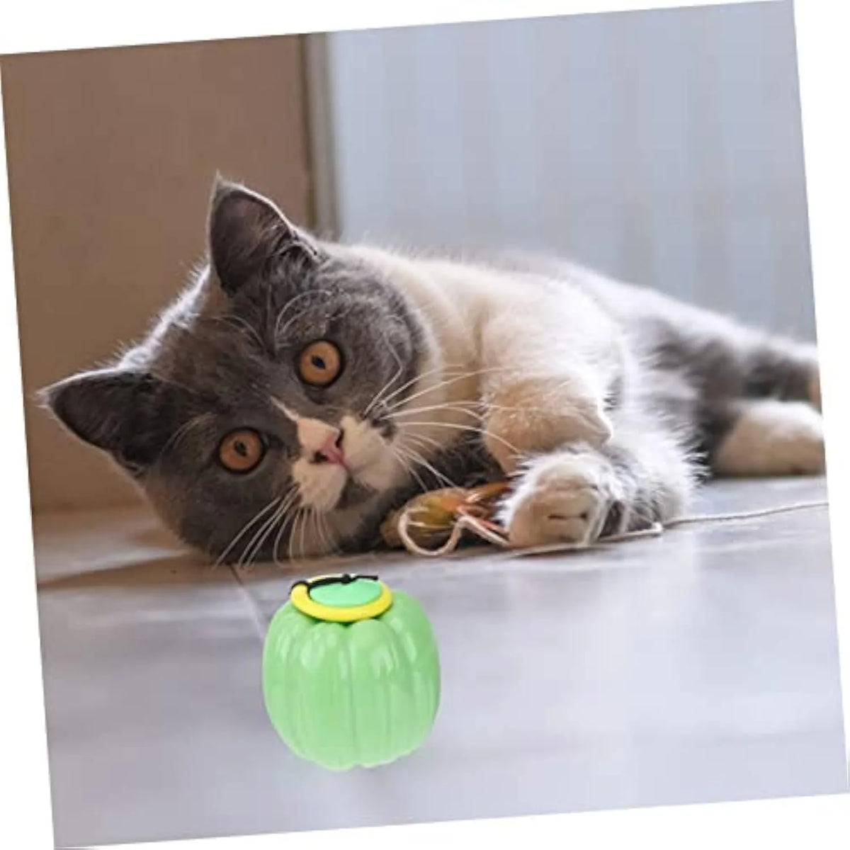 Green, orange, and yellow plastic squeaky pumpkin dog ball toy for small dogs, 68mm diameter.