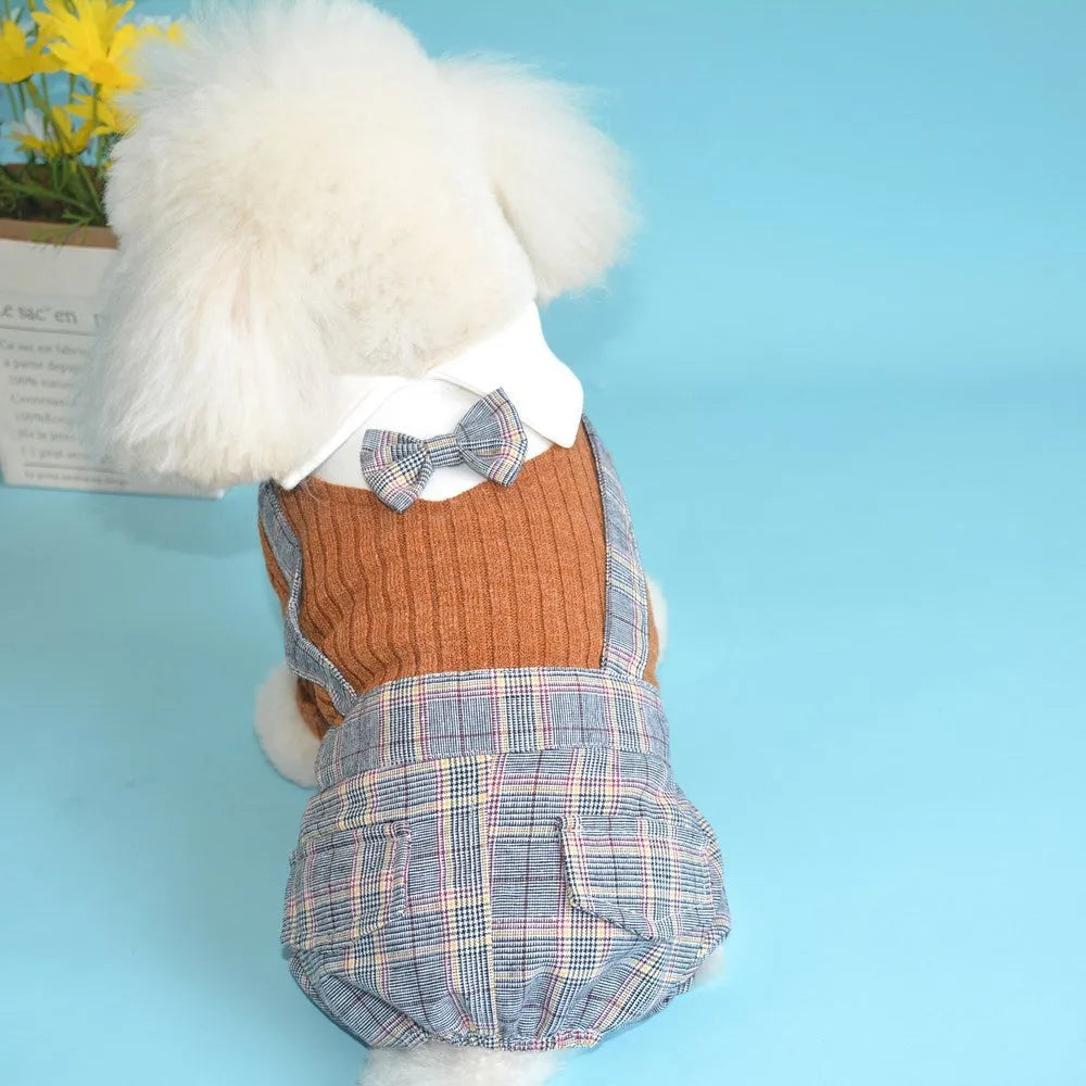 Small dog wearing dark blue cotton shirt with button front and collar