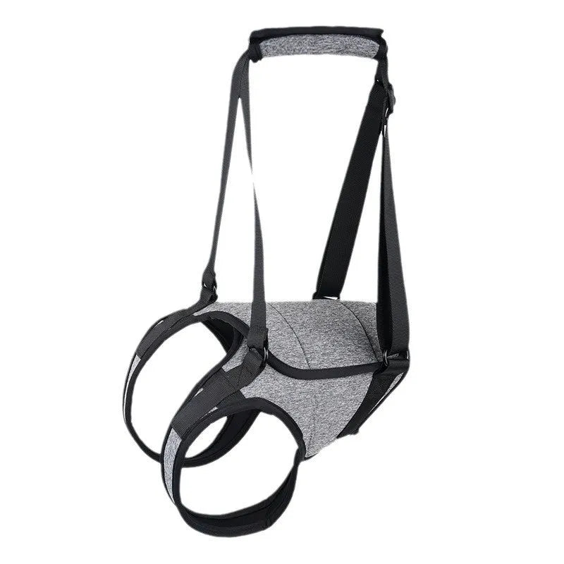 Grey neoprene adjustable dog hind leg recovery belt shown on size chart