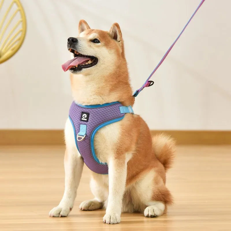 Adjustable dog harness with reflective piping and breathable mesh panels in multiple colour options