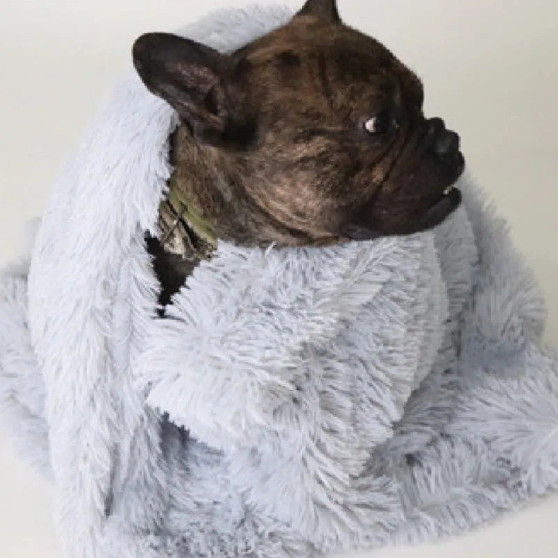 Soft wool polyester dog blanket in dark grey showing rectangular shape and plush texture