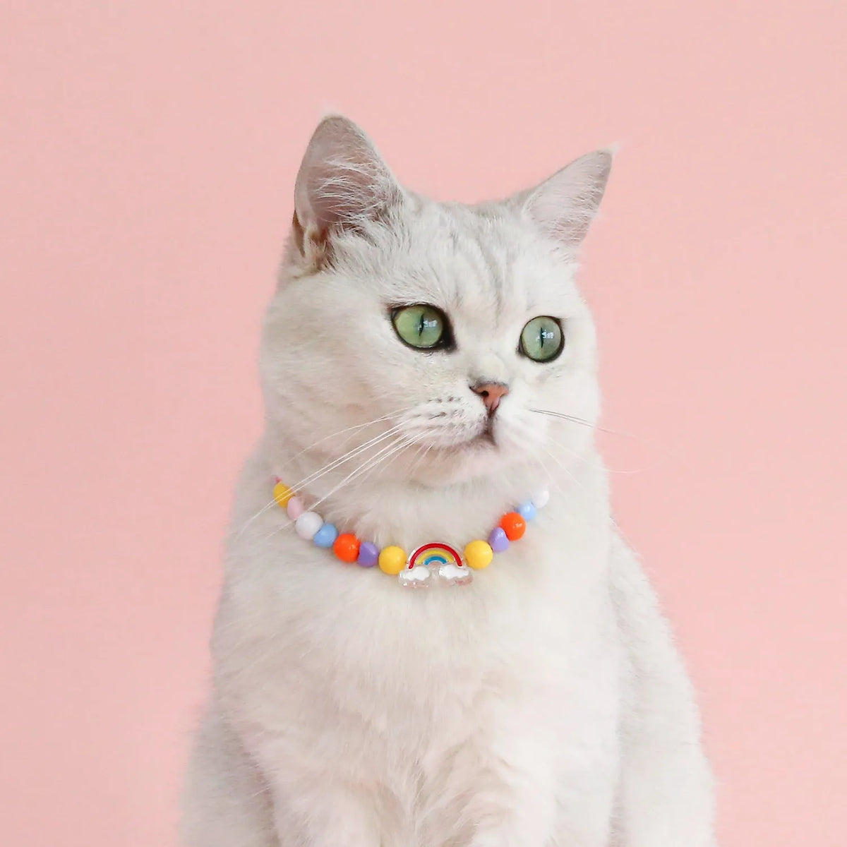 Colourful plastic bead cat necklace shown in peach, rainbow, or small flower pattern options with adjustable sizing