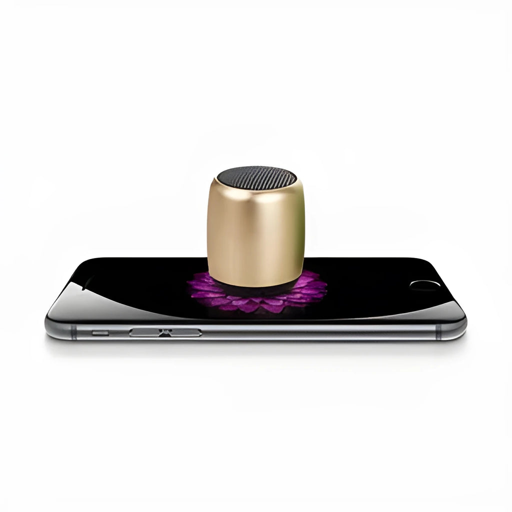 Small portable Bluetooth wireless speaker in black, blue, gold, or pink colour options.