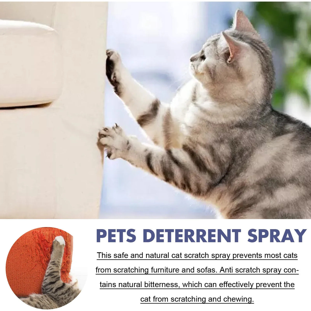 Boxed 50ml bottle of pet anti-scratch and bite deterrent training spray