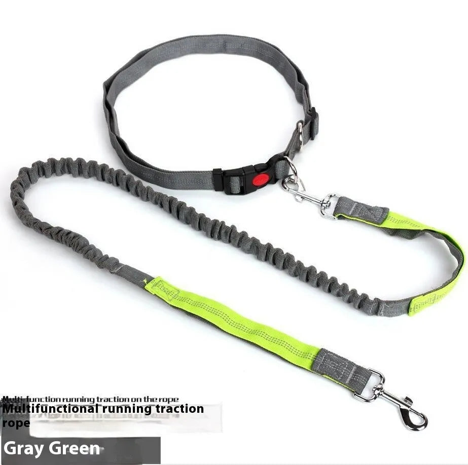 2.5cm wide nylon dog leash with reflective filament in multiple colour options