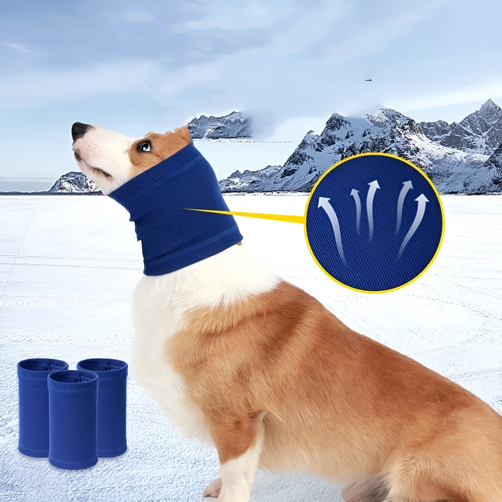 Blue and grey polyester dog headband scarf shown in S, M, L sizes