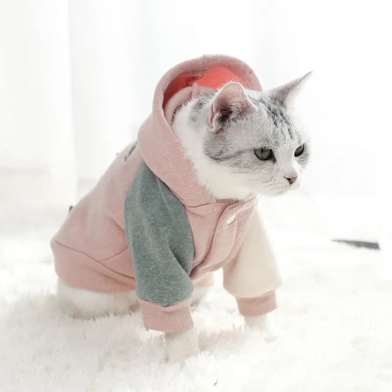 Brown cotton dog sweatshirt shown on a mannequin, with green and pink colour variants visible.